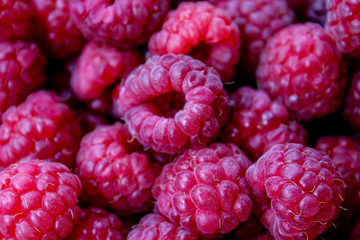 raspberry, fruit, berry, food, red, ripe, sweet, fresh, raspberries, healthy, berries, dessert, closeup, summer, freshness, delicious, natural, vegetarian, diet, organic, fruits, juicy, nature, color,