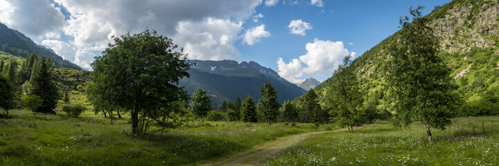 Obraz premium a view of the chamonix valley from the alpine mountains in the Vallorcine area with foreground of alpine meadows on a clear summer day with blue sky and bright clouds