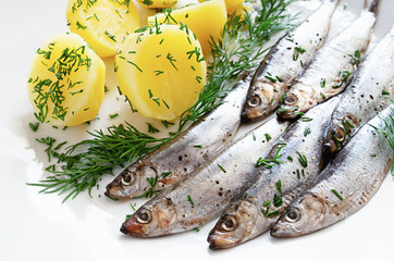 freshly salted sprats with potato and dill