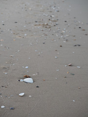 Sand beach background in Thialand