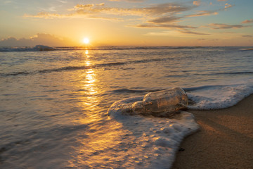 Fototapeta na wymiar Glass bottle with beatiful beach sunset landscape