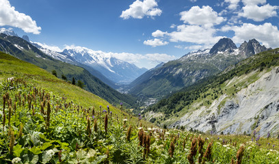 a view of the chamonix valley from the alpine mountains in the Vallorcine area with foreground of alpine meadows on a clear summer day with blue sky and bright clouds