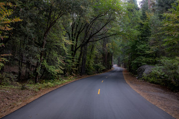 Yosemite road