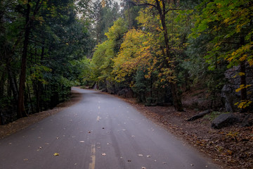 Yosemite roads