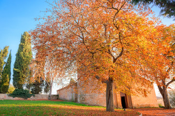 Naklejka premium Autumn in Tuscany