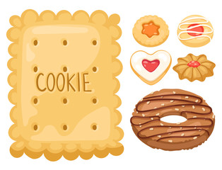 Cookie vector cakes top view sweet homemade breakfast bake food biscuit bakery cookie pastry illustration.