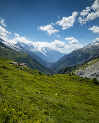 Fototapeta premium a view of the chamonix valley from the alpine mountains in the Vallorcine area with foreground of alpine meadows on a clear summer day with blue sky and bright clouds