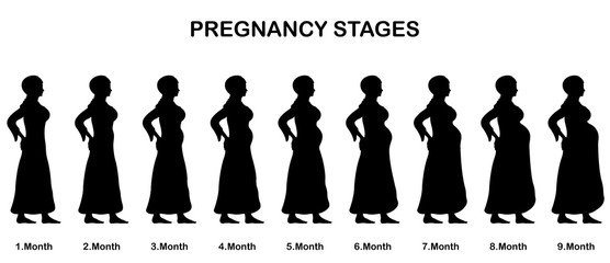Pregnancy stages of a muslim woman silhouettes