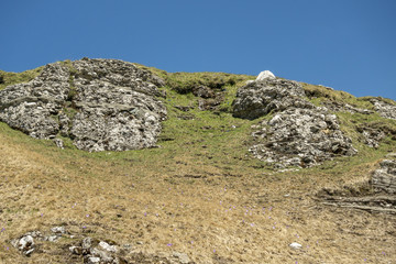 Large rock, with moss, on a field in Bucegi Mountains, Bucegi National Park, Romania