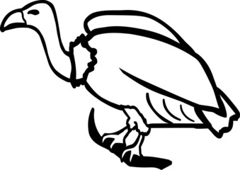 Vulture