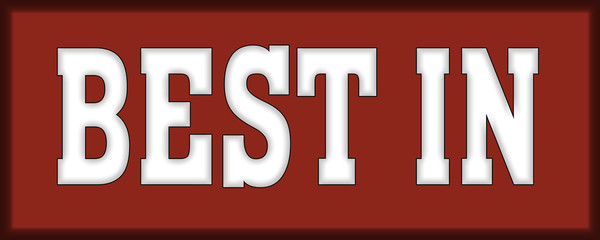 best in class Logo Stamp Icon