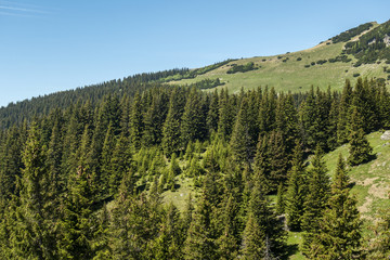 Obraz premium View of Bucegi Mountains, Bucegi National Park, Romania, clear blue sky, few clouds, sunny summer day, perfect for hiking