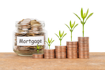 Coin stack, and money jar with leaves on white background saving concept