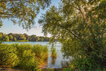 Attractive view over a small lake between the branches of overhanging trees