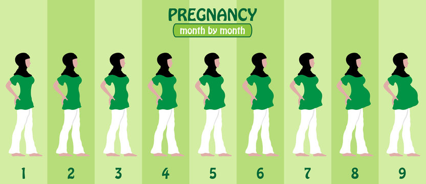 Month by month pregnancy stages of pregnant muslim woman with hijap