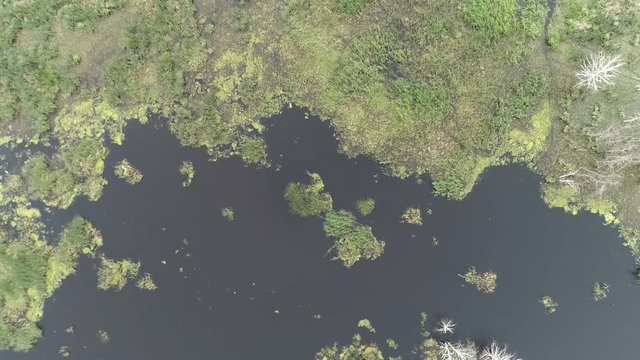 A huge lake, a delightful wildlife
