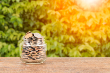 Coin money jar on green tree background