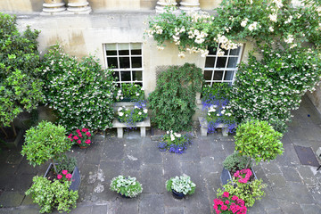 Terrasse fleurie à Bath, Angleterre