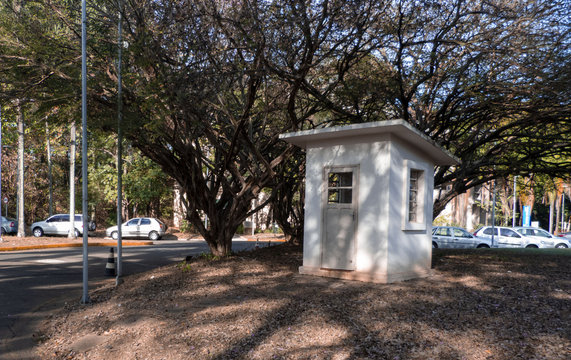 A tree and a house