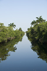 Canal in Florida
