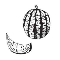 Watermelon and cut slice, hand drawn doodle, drawing, sketch, black and white vector outline illustration