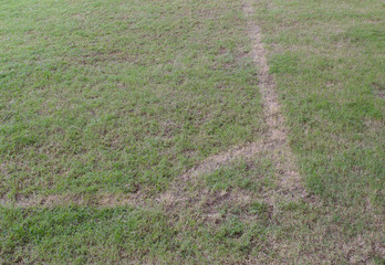 Corner of the soccer field in outdoor