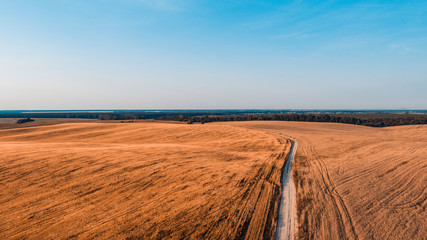 the yellow field is at sunset shot with the drone