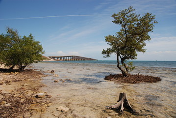 Fototapeta premium Florida Keys - Seven Mile Bridge