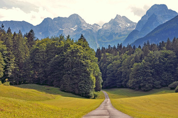 road in forest with mountains in lofer  austria