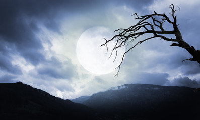Halloween background. Spooky mountains and tree with full moon