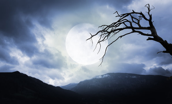 Full Moon Mountains Images – Browse 83,999 Stock Photos, Vectors, and Video  | Adobe Stock