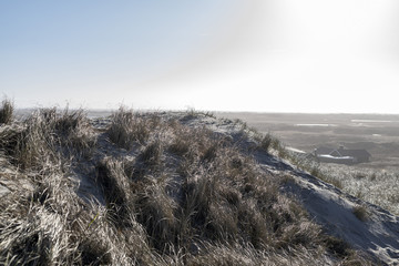 Dünen im gleiussenden Morgenlicht  am Meer