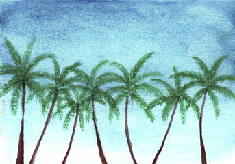 Palm trees on blue sky in watercolor