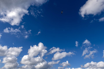 blauer himmel mit weisen Cummulus wolken über der Ostsee