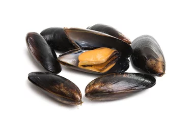Velours gordijnen mussels isolated © ksena32