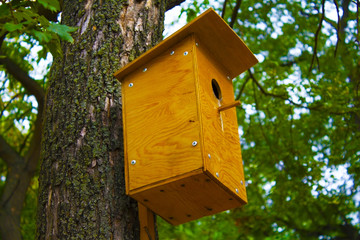 birdhouse on the tree