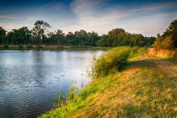 Brzeg stawu oświetlony zachodzącym słońcem, © Senatorek