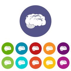 Brain icons color set vector for any web design on white background
