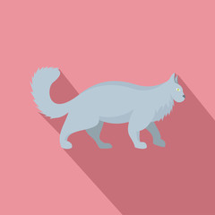 Grey cat icon. Flat illustration of grey cat vector icon for web design
