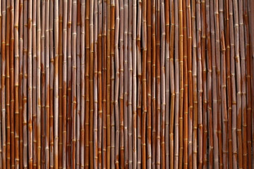 Bambuszaun