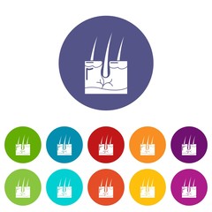 Hair skin icons color set vector for any web design on white background