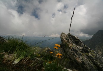Obraz premium The view from peak Orlyonok of the Caucasus mountains, Arkhyz