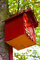 birdhouse on the tree