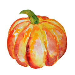 Watercolor pumpkin isolated on a white backgrund.