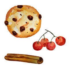 Watercolor cookies, cinnamon and viburnum berries isolated on a white background.