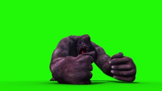 Gorilla Angry Screams Green Screen 3D Rendering Animation