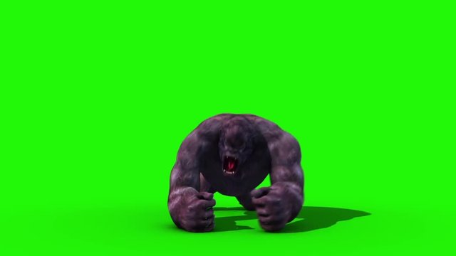 Gorilla Angry Screams Front Green Screen 3D Rendering Animation
