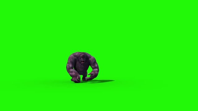 Gorilla Walks Front Green Screen 3D Rendering Animation