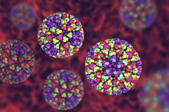 Bluetongue virus BTV, 3D illustration. A virus transmitted by the midge Culicoides, causes Bluetongue disease at ruminants, mainly sheep, characterized by fever and swollen, cyanotic tongue