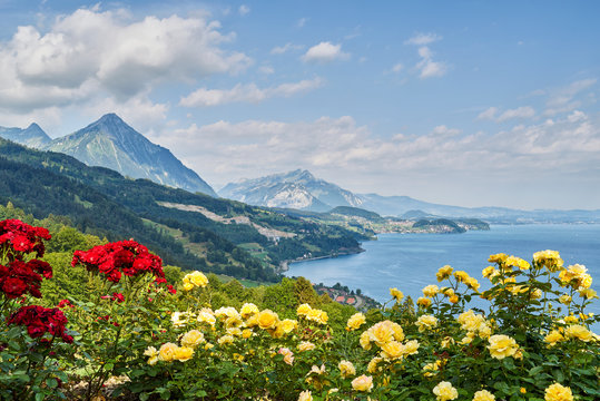 "&Uuml;ber dem Thunersee"